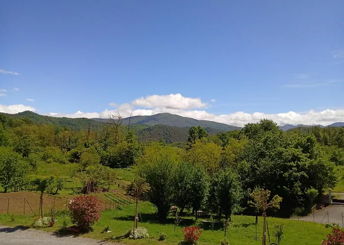 Hébergement de vacances Casa Chiarli-belforte Monferrato Tagliolo Monferrato