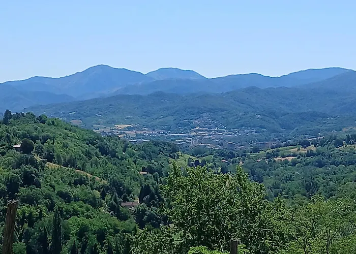 Hébergement de vacances Casa Chiarli-belforte Monferrato Tagliolo Monferrato